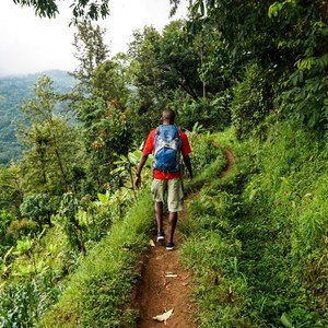 Chasing Materuni in Moshi, Tanzania