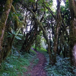 An Ascent of Africa's Meru: Day I