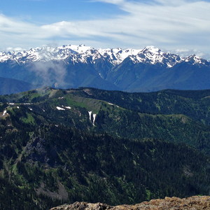 Mount Angeles Via Switchback Trail