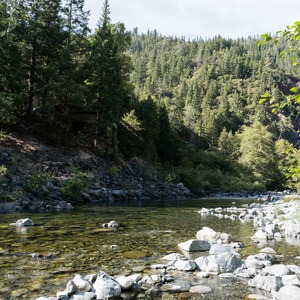 Madrona Day Use Area