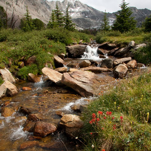 Fall Creek - Surprise Valley, Broad Canyon Divide