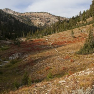 Johnson Creek to North Fork of the Ross Fork