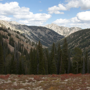Alturas Lake Creek to Mattingly Divide