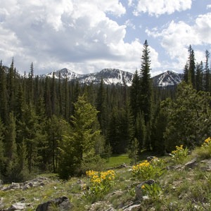 Marten + Kelly Lake, Bench Creek Divide