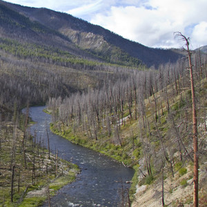 Middle Fork of the Salmon River Trail – Day 2