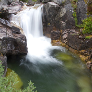 Queens River Trailhead to Queens River Falls + Nanny Creek