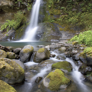 Rogue River Trail – Day 4