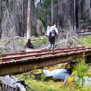Middle Fork Willamette Trail
