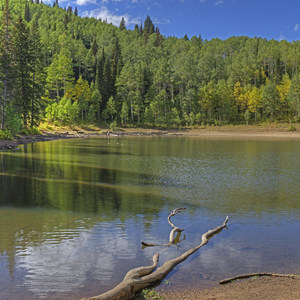 Mill D North to Dog Lake