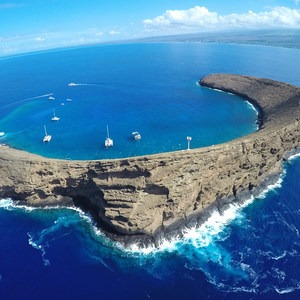 Molokini Crater Snorkeling + Diving Tour