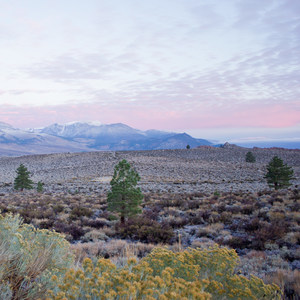 Mono Basin National Scenic Area