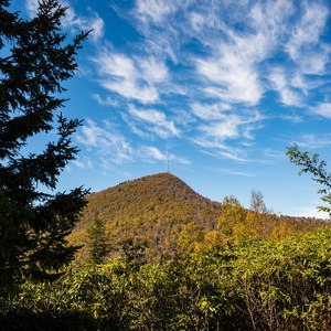 Mount Pisgah via the Buck Spring Trail