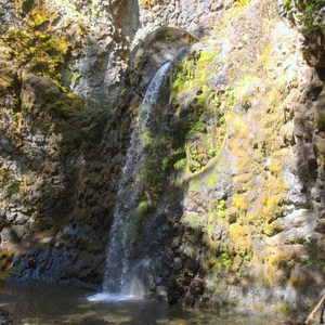 Fall Creek Falls National Recreation Trail