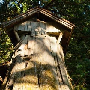 Guillemot Cove Nature Preserve