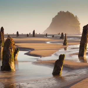 Neskowin Beach State Recreation Site
