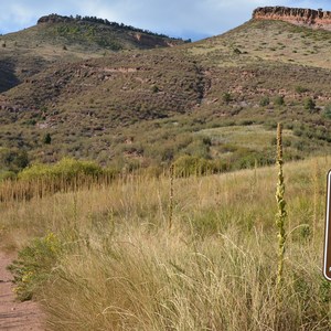 Hall Ranch: Nighthawk Trail