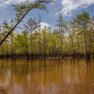 Wolf and Ghost Rivers Canoeing