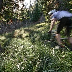 Olallie Trail