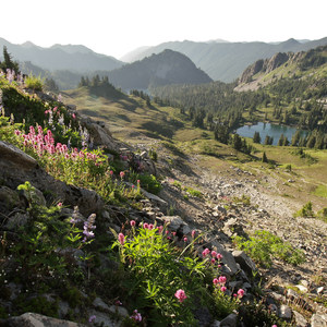 Hoh to Sol Duc via High Divide Trail