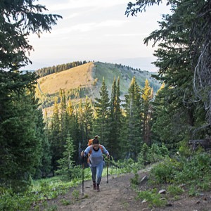 Help Us Save Bonanza Flats