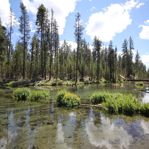 Fall River Campground