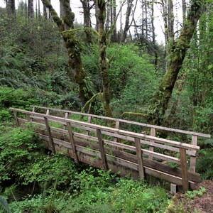 Miller Woods Conservation Area