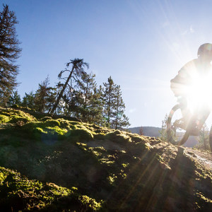 North Whistler Mountain Bike Trails: Out There