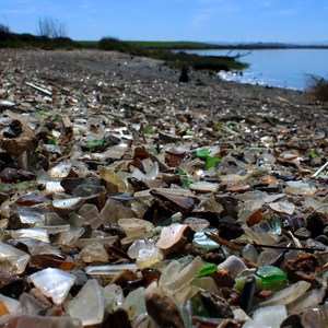 Napa River Bay Trail + Glass Beach