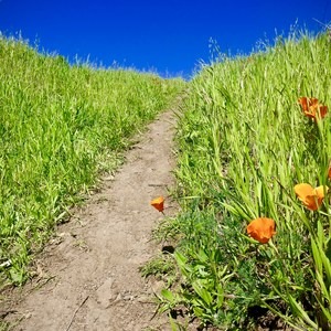 Seaview Trail to Inspiration Point