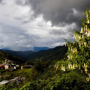 Sierra Norte of Oaxaca
