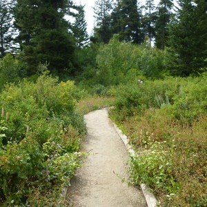 Shafer Butte and Mores Mountain Trailhead