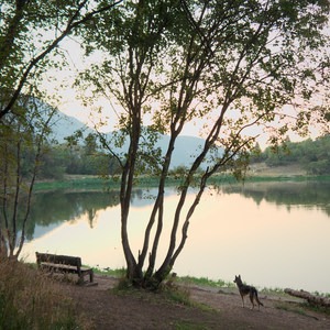 Maple Lake Campground