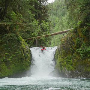 Upper Yellowjacket Creek