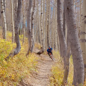Wasatch Crest Mountain Bike Trail