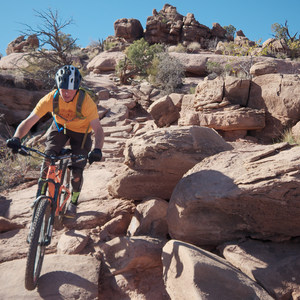Amasa Back Mountain Bike Trails: Captain Ahab