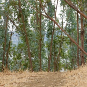 Carquinez Overlook Loop