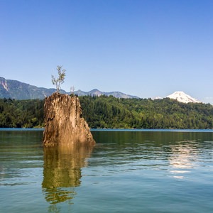 Lake Shannon Sea Kayaking