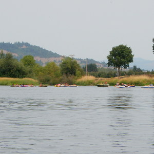 McKenzie River, Harvest Landing to Armitage Park