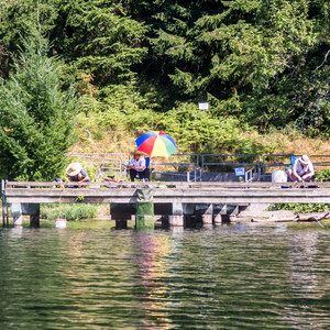 Seward Park Sea Kayaking