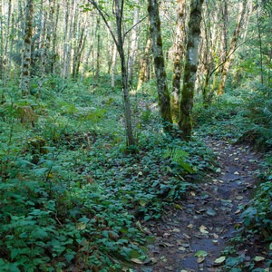 Paradise Valley Conservation Area