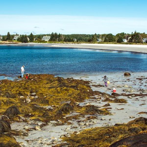 Pemaquid Beach