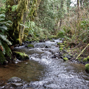 Cape Perpetua Campground