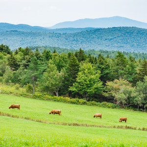 Pitcher Mountain Fire Tower