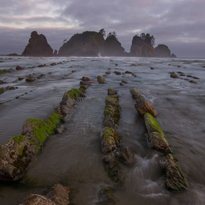 Point of the Arches via Shi Shi Beach