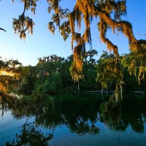 Blue Spring State Park