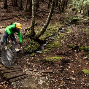 Westside Mountain Bike Trails: Pura Vida + Danimal