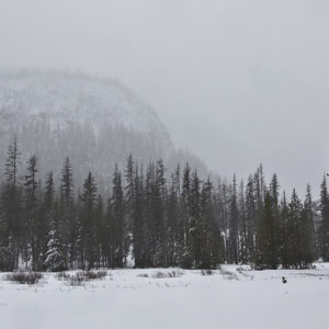 More Snow on the Horizon for Oregon