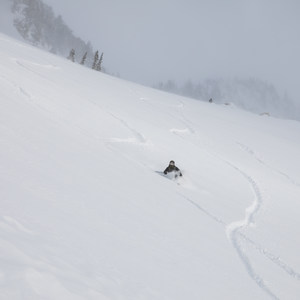 Red Pine Fork + Pink Pine Ridge