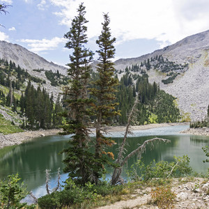 Lower Red Pine Lake Trail