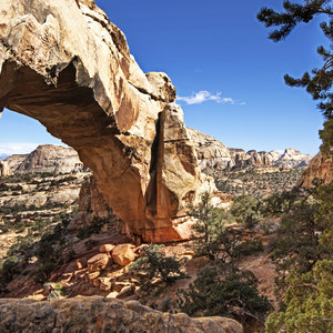 Hickman Natural Bridge